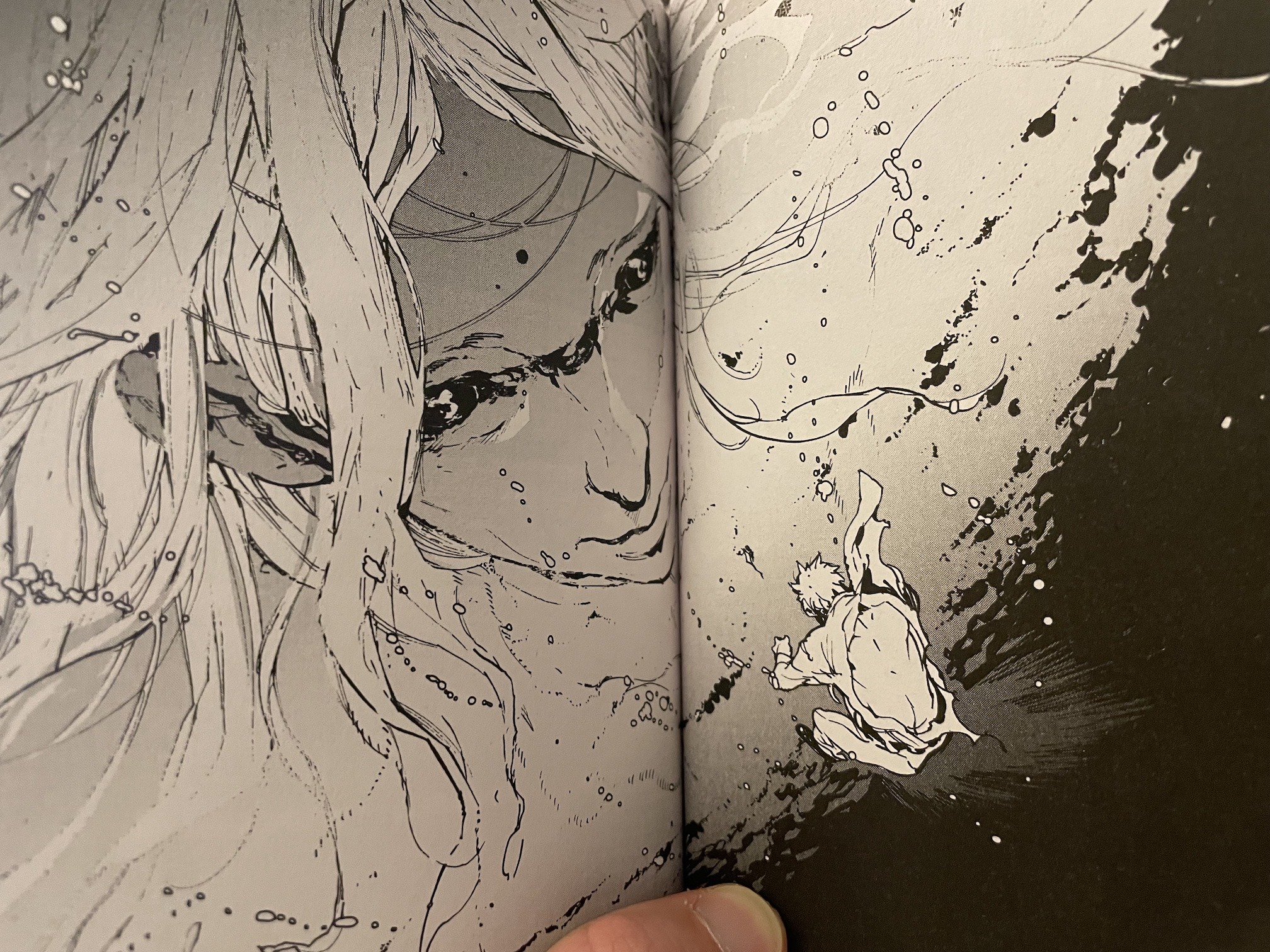 Arakure Princesse Yakuza Scan Tome 1 Vf